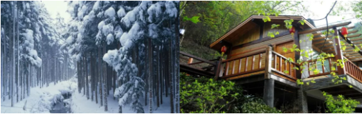 集團助力吉林省吉林高新區(qū)委托招商引資，加速建設(shè)東北振興的高質(zhì)量發(fā)展示范高地